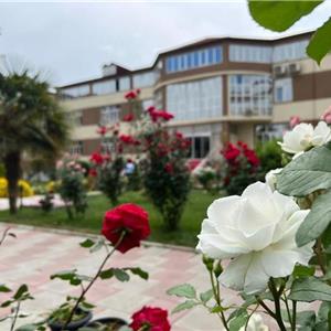 Санаторий "Красивый Нафталан" ("Gozel")