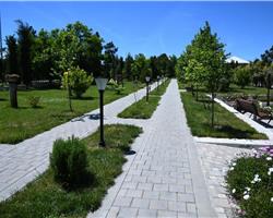 Park Naftalan 4*